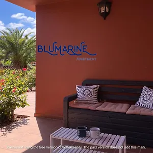 https://tamarindo-blumarine-pool-wifi-free-4-persons.in-canary-islands.com